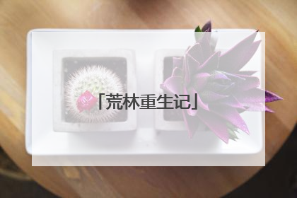 荒林重生记
